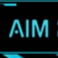 AIM-2025